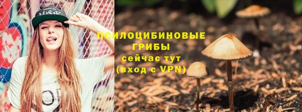 гашиш Абаза