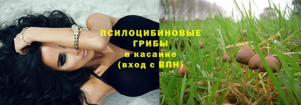 твердый Алзамай
