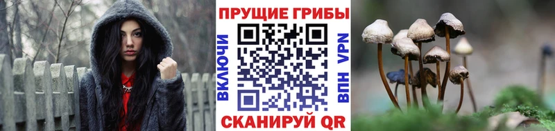 Галлюциногенные грибы мухоморы  Троицк 